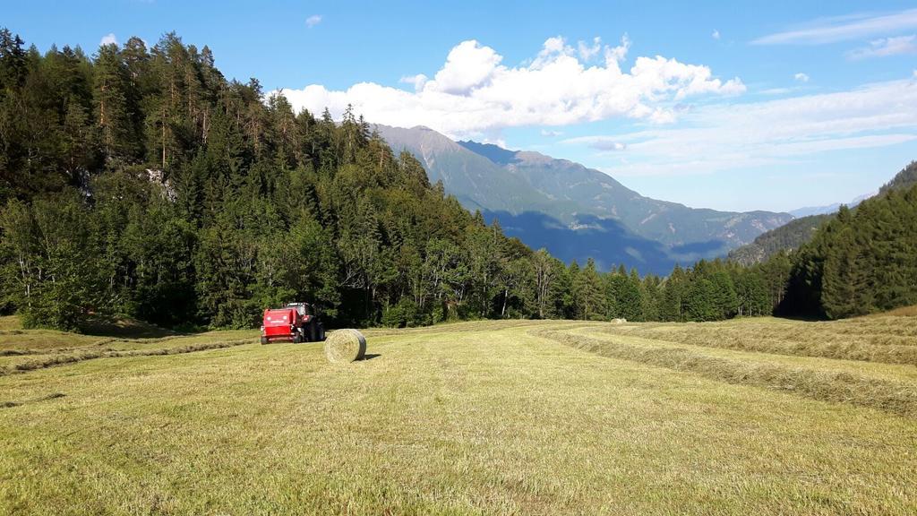 Landgasthof Kreithof Otel Tristach Dış mekan fotoğraf